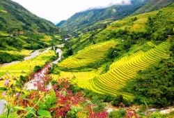 Tour du lịch Hà Nội - Sapa